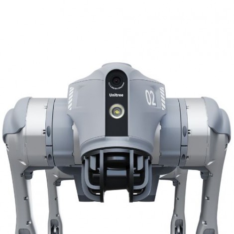 Quadruped-Roboter Go2 Edu Plus