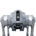 Go2 quadruped robot Edu Plus