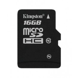 16 GB Class 10 micro SD memory card