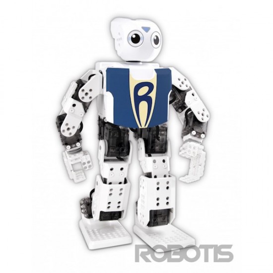 Programmable Humanoid Robot Robotis Mini