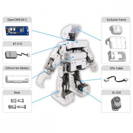 Programmable Humanoid Robot Robotis Mini