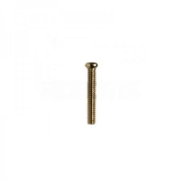 S4 PHS M2x12 Bolt (50 pcs)