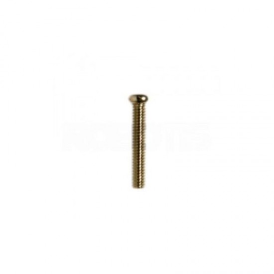 S4 PHS M2x12 Bolt (50 pcs)