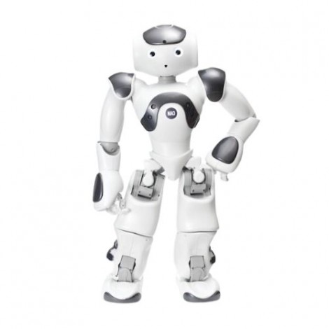 Programmable Humanoid Robot   NAO V6