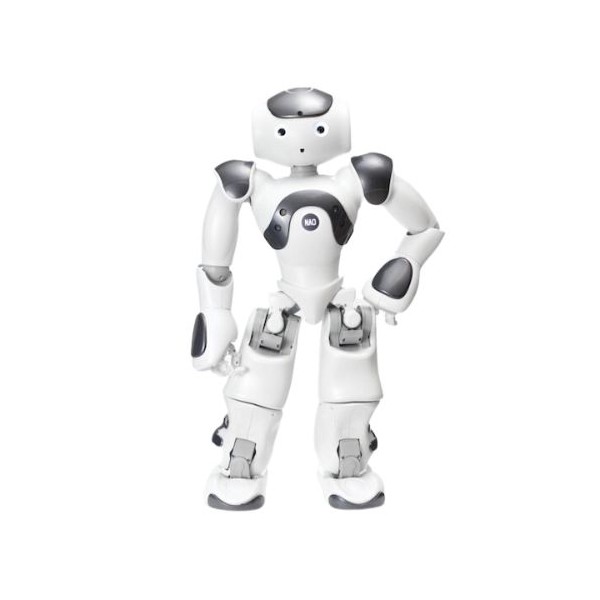 Programmable Humanoid Robot   NAO V6