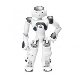 Programmierbarer humanoider Roboter NAO Version 6