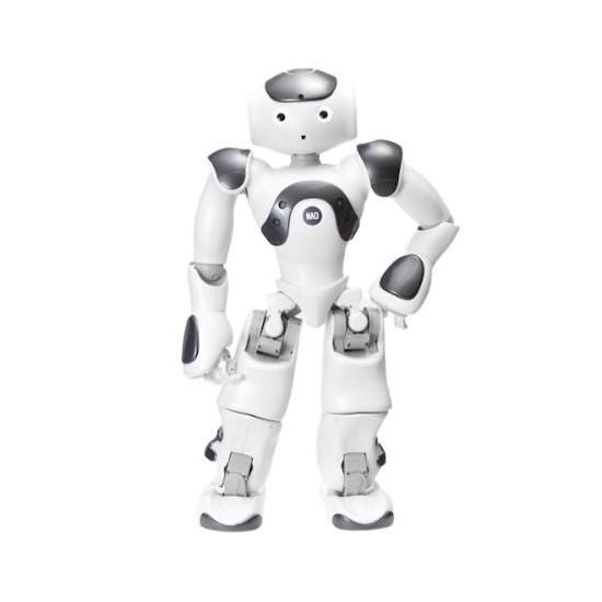 Black and white robot with remote online