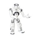 Robot umanoide programmabile NAO V6