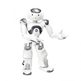 Programmable Humanoid Robot   NAO V6