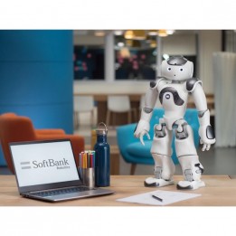 Programmierbarer humanoider Roboter NAO Version 6