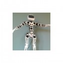 Robot Poppy Humanoid avec impressions 3D)