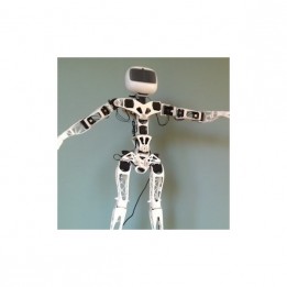 Poppy Humanoid Roboter (mit Teilen aus 3D-Druck)