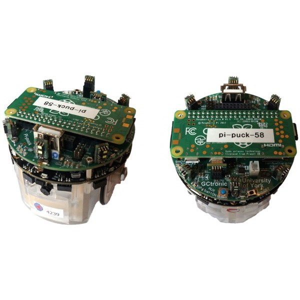 Estensione Pi-puck per il robot E-Puck2