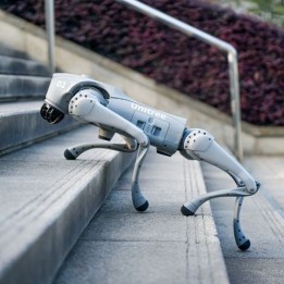 Go2 Air Robot Dog