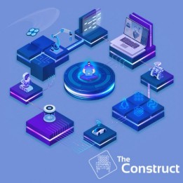 The Construct Annual License