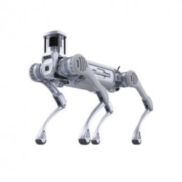 B2 Quadruped Robot Dog