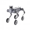 B2 Quadruped Robot Dog