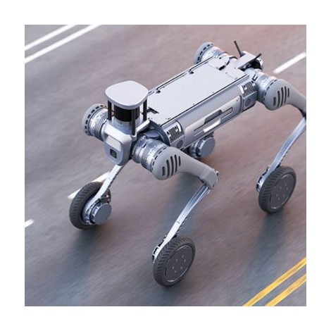 B2 Quadruped Robot Dog