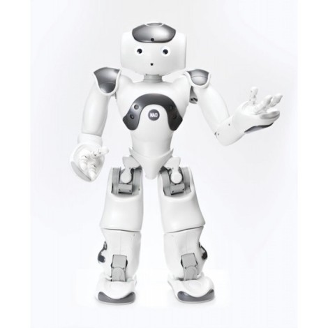 Academic Edition, Programmierbare humanoiden Roboter NAO V6