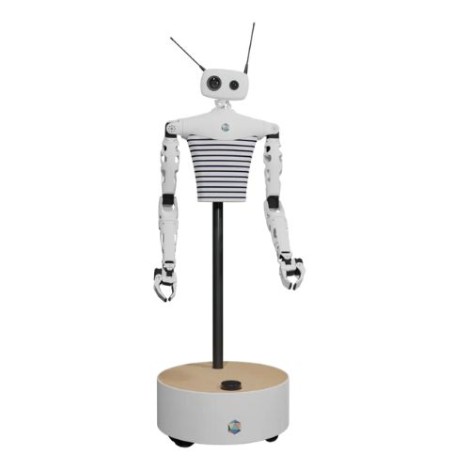 Reachy Modular Humanoid Robot