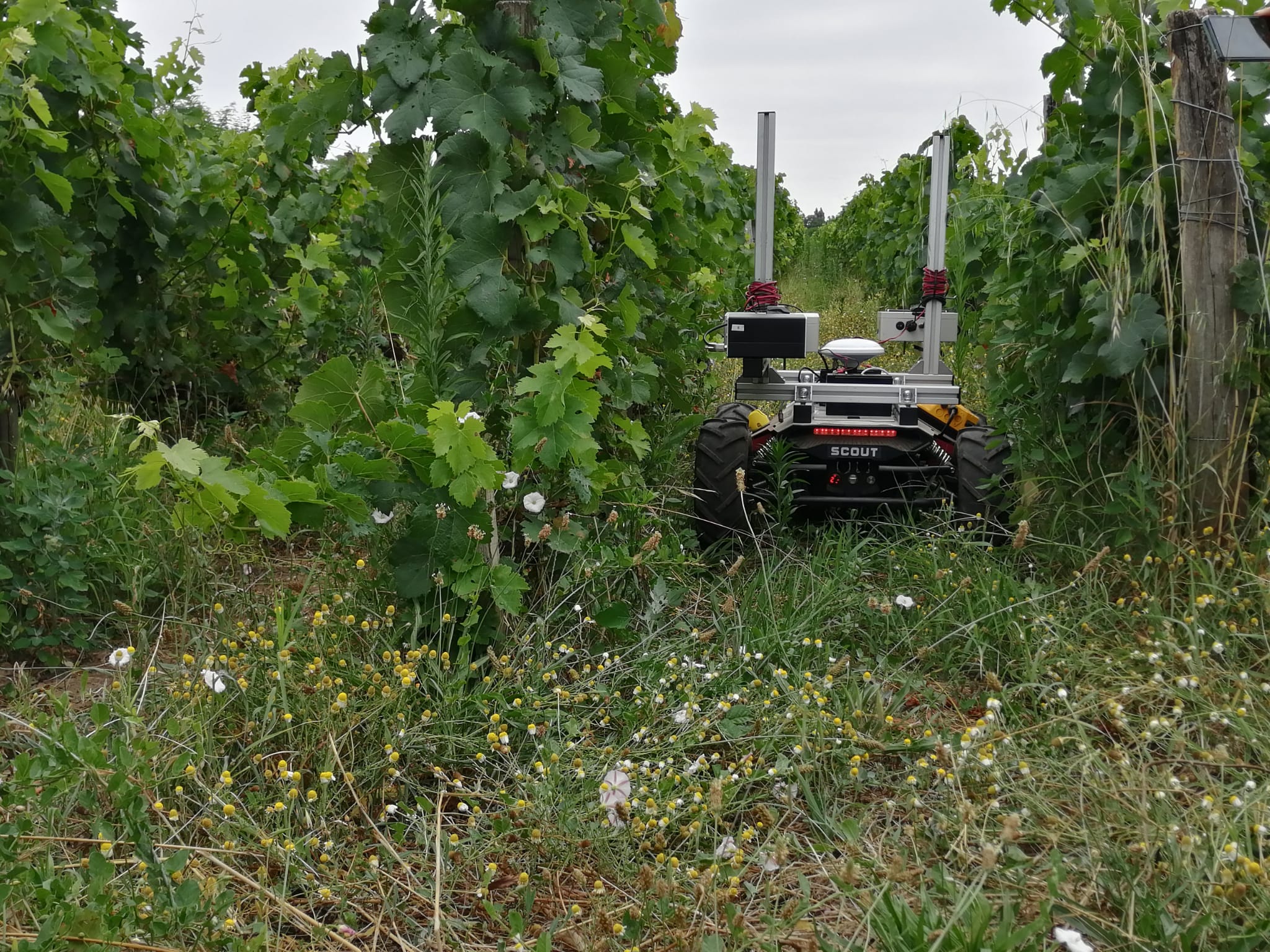 SCOUT 2.0: an Autonomous Mobile Robot used in the vineyards at Château ...