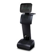 robot de service Temi